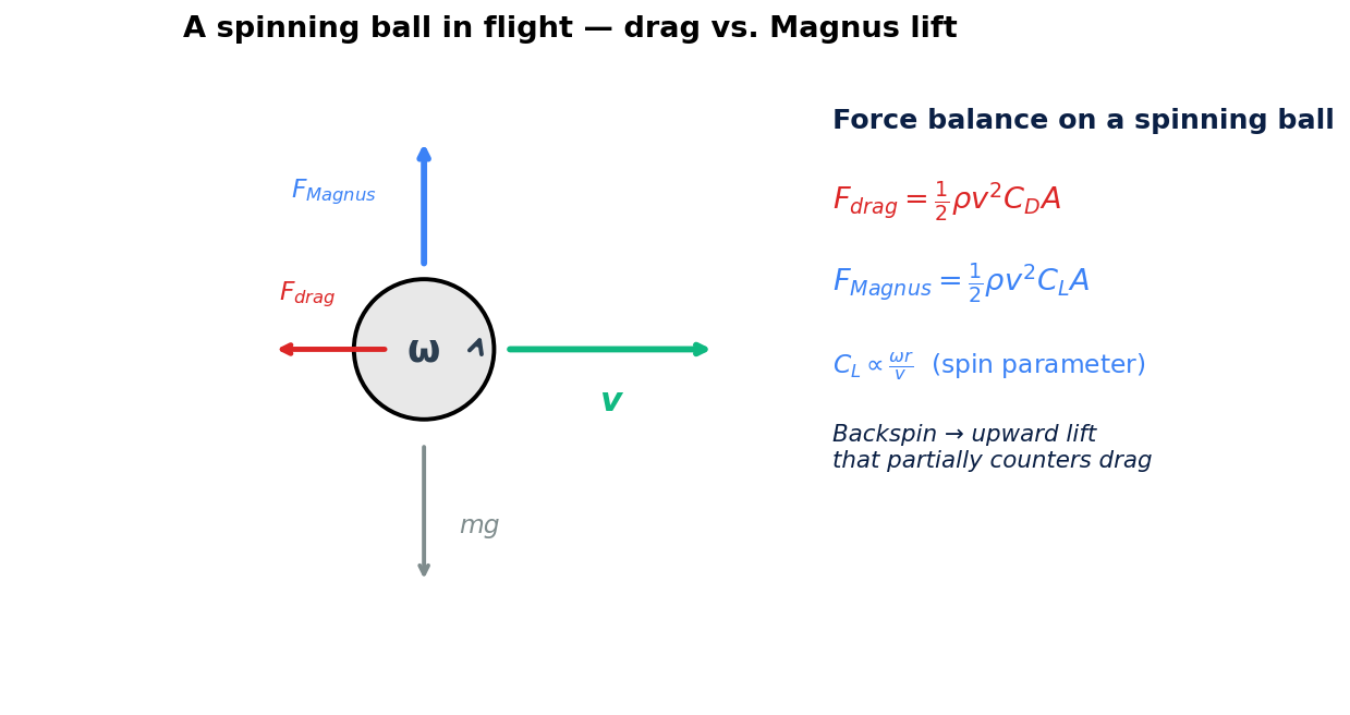 Free-body diagram of a spinning ping-pong ball in flight